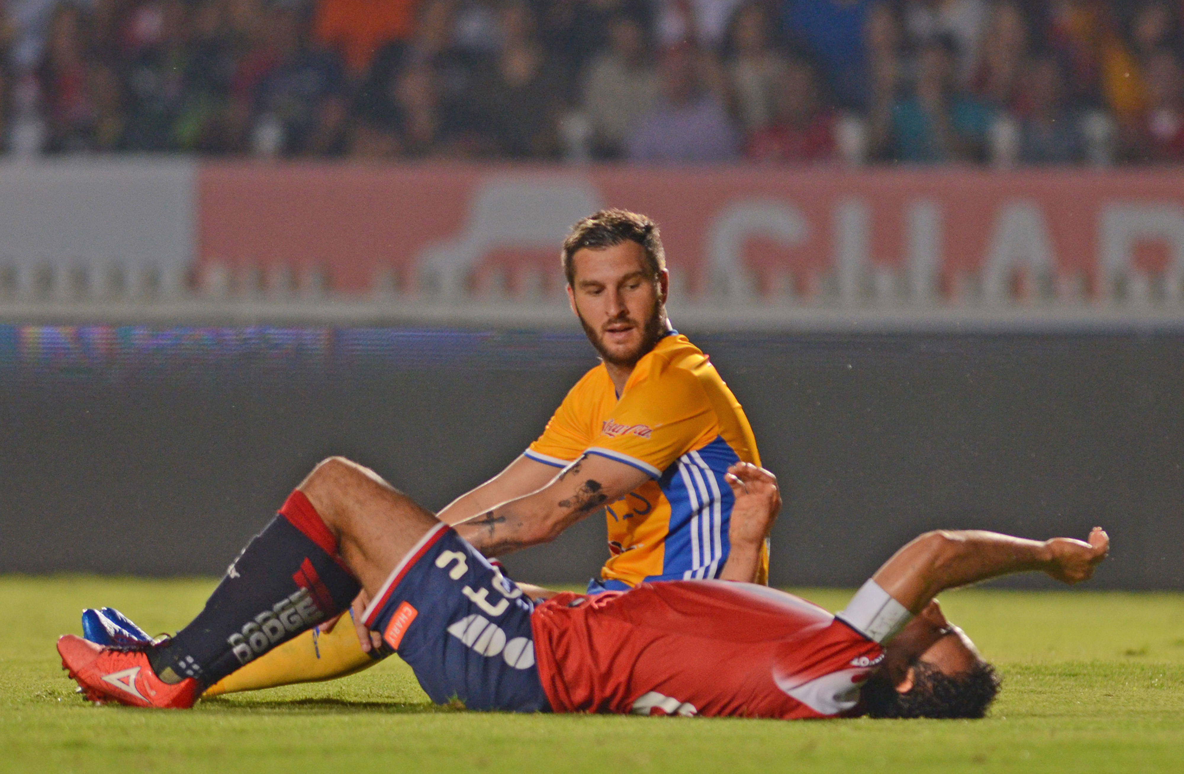 Mira las imágenes de la J7