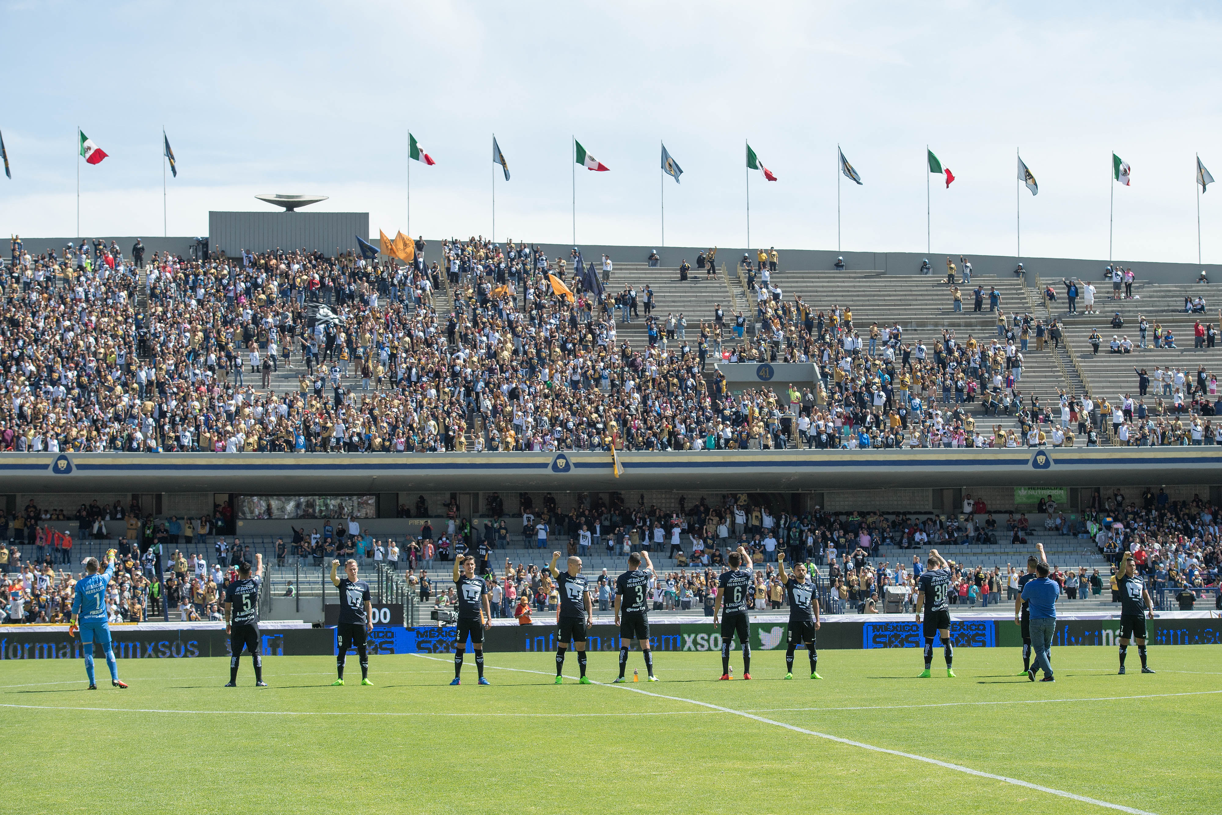 Mira las imágenes de la J7