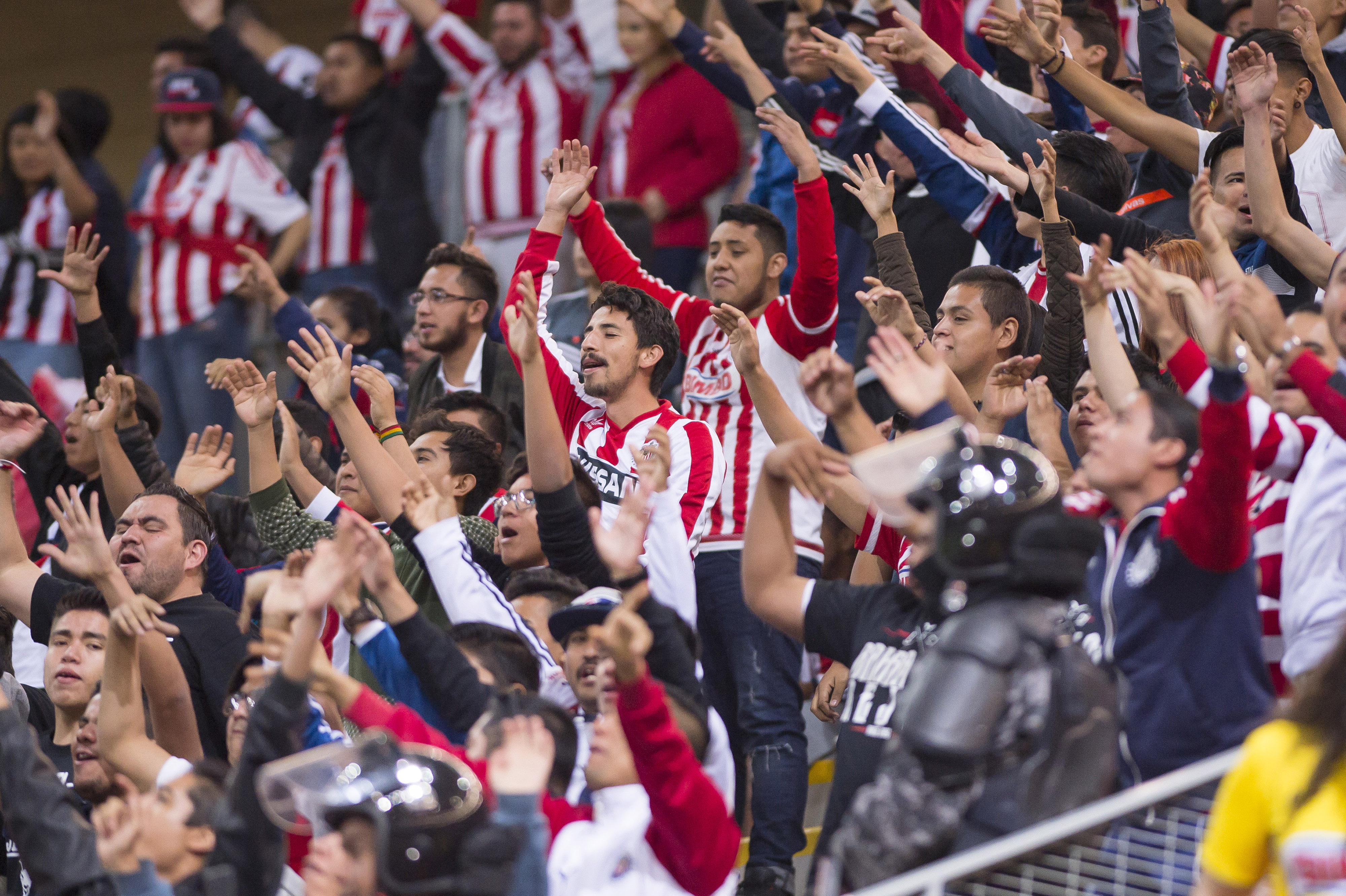 Mira las imágenes de la J7