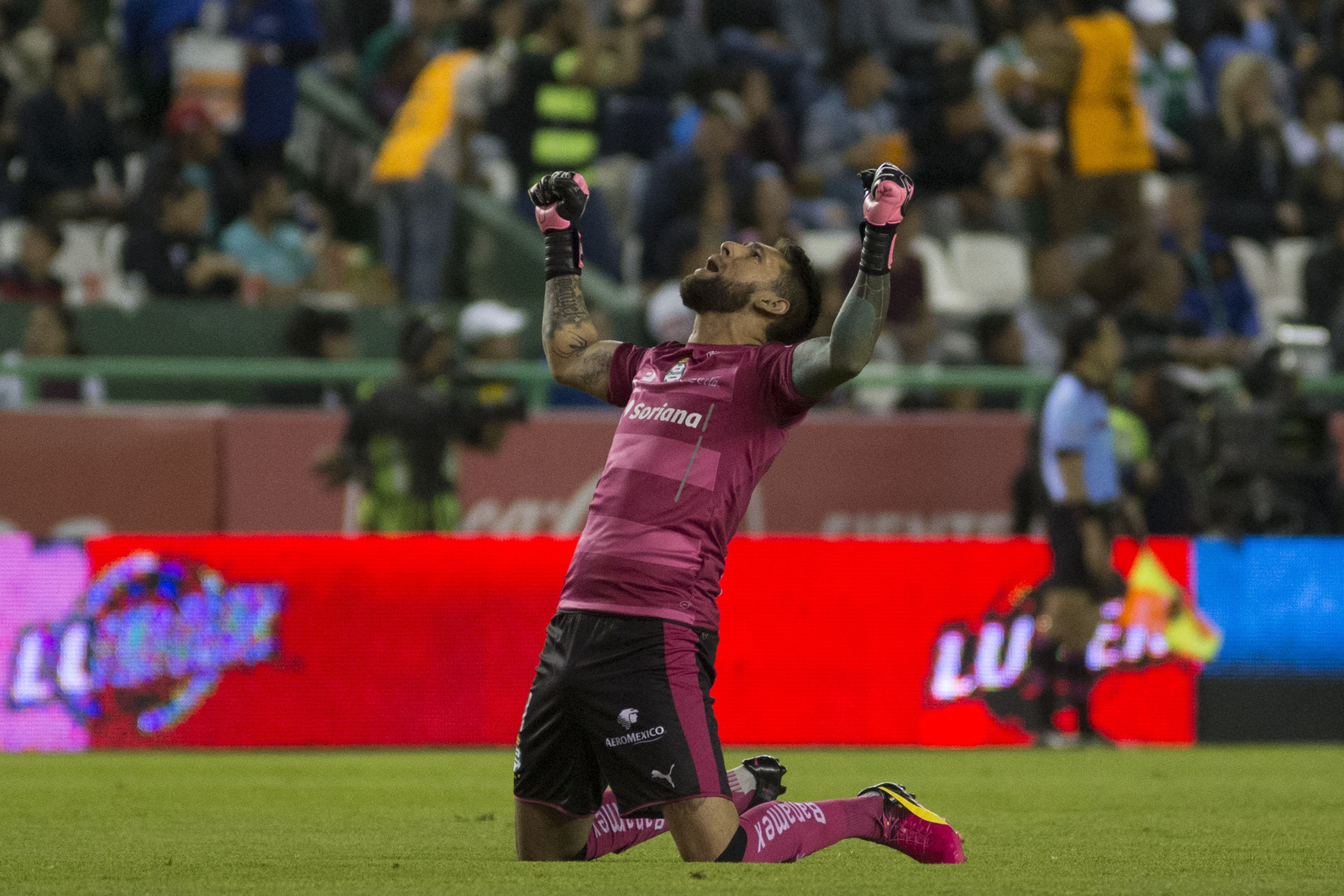 Mira las imágenes de la J7