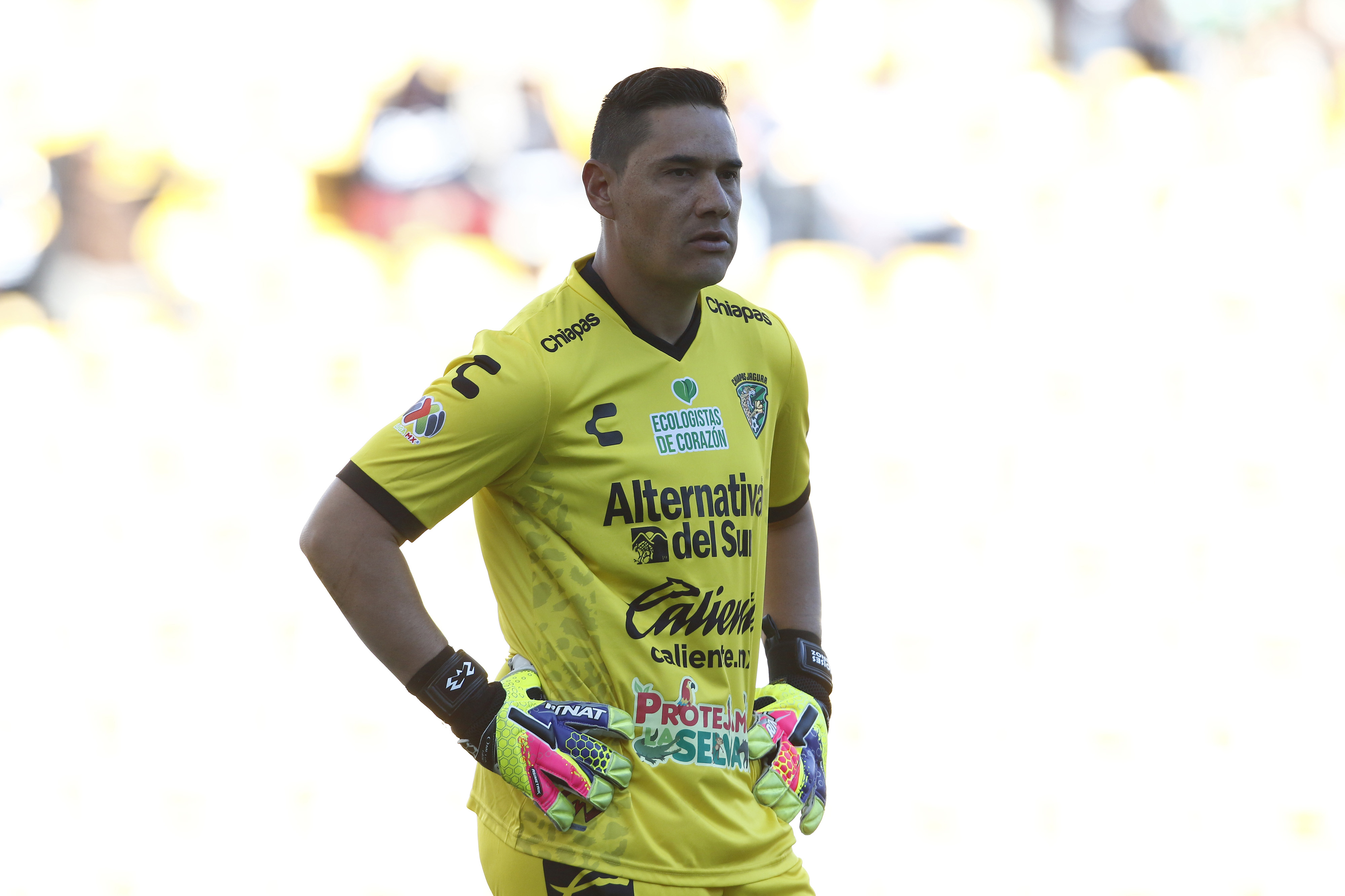 Mira las imágenes de la J7