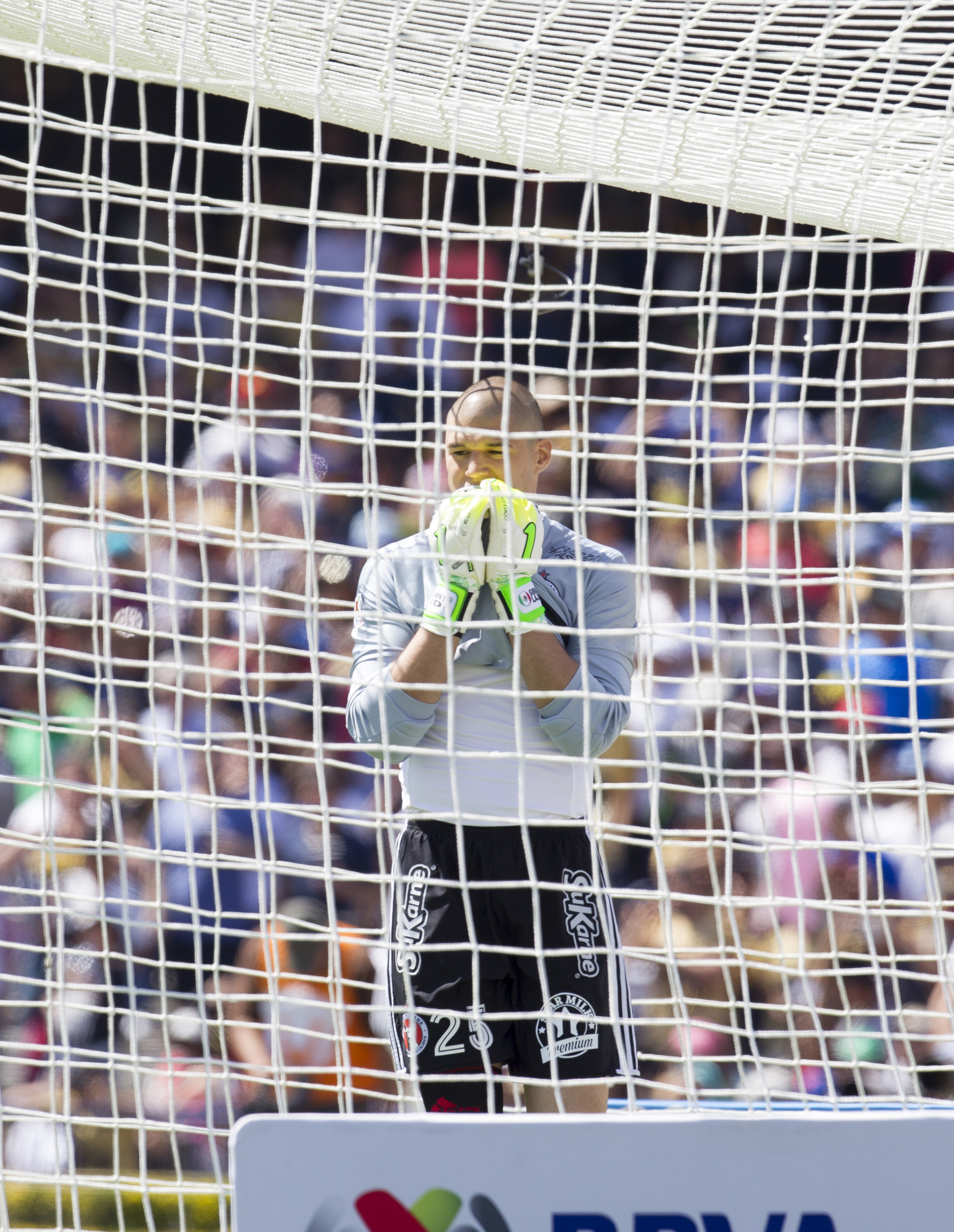 Mira las imágenes de la J7