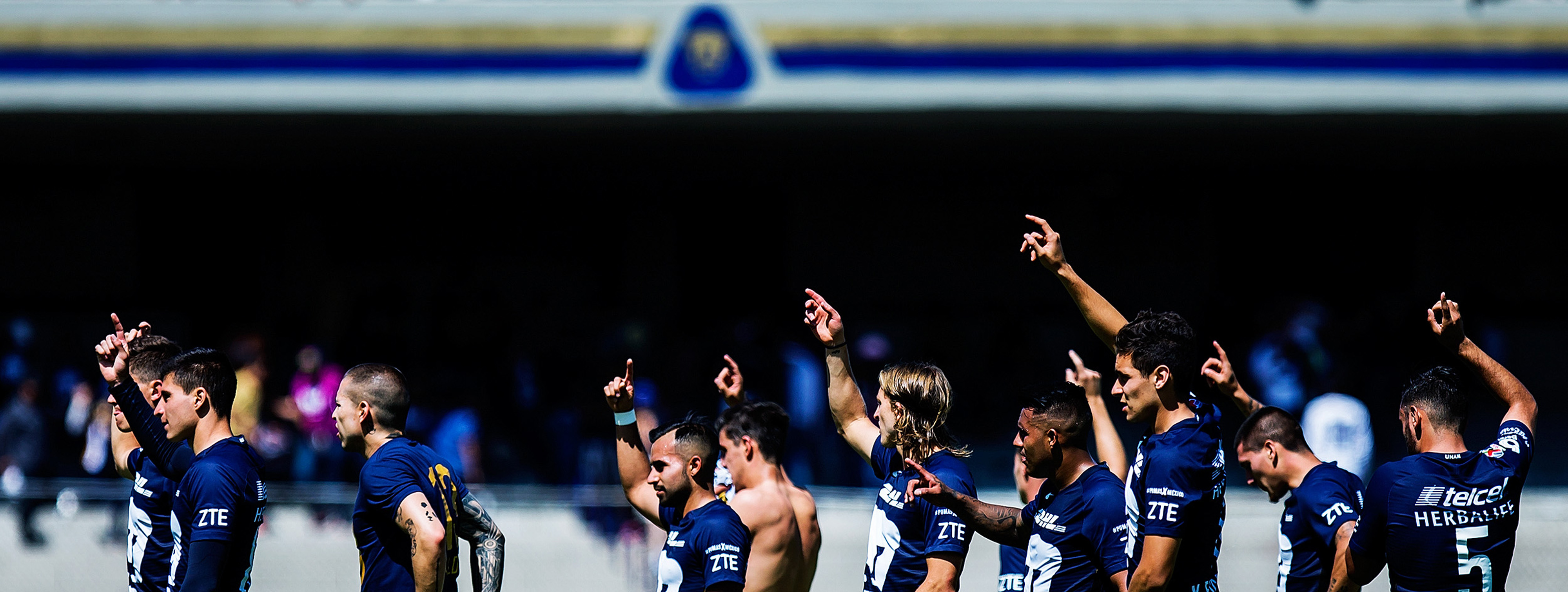 Mira las imágenes de la J7