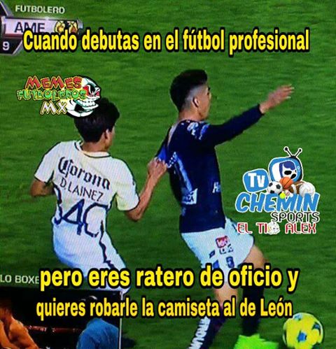 Chivas es superlíder y los memes de la J9 lo saben