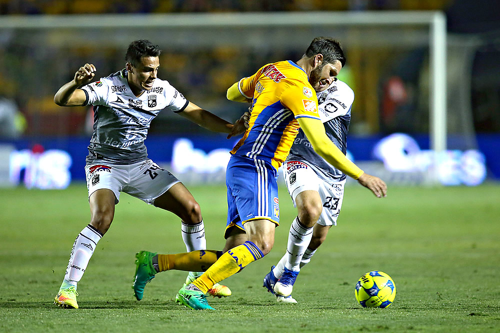 El León rugió más fuerte