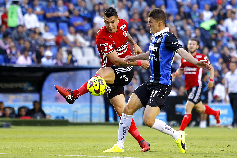 El triunfo de Xolos sobre Gallos en imágenes