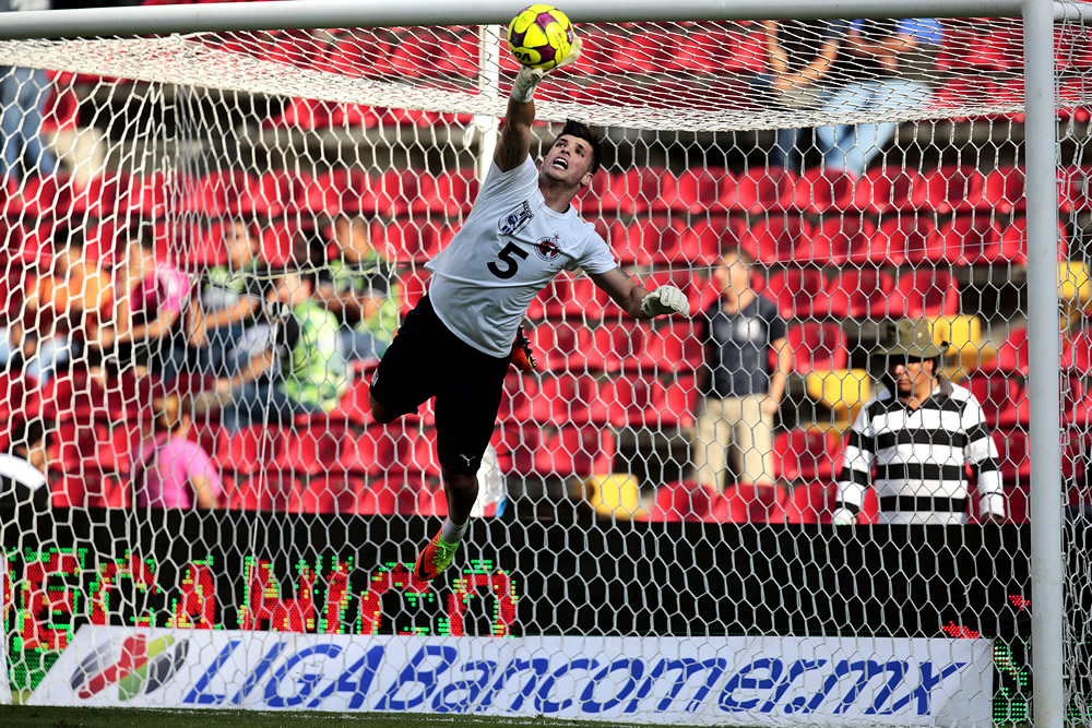 El triunfo de Xolos sobre Gallos en imágenes