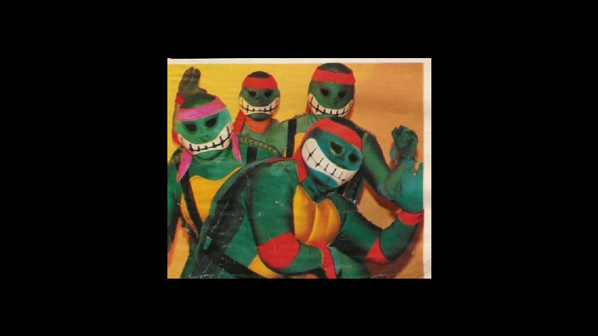 Tortuguillos Karatecas