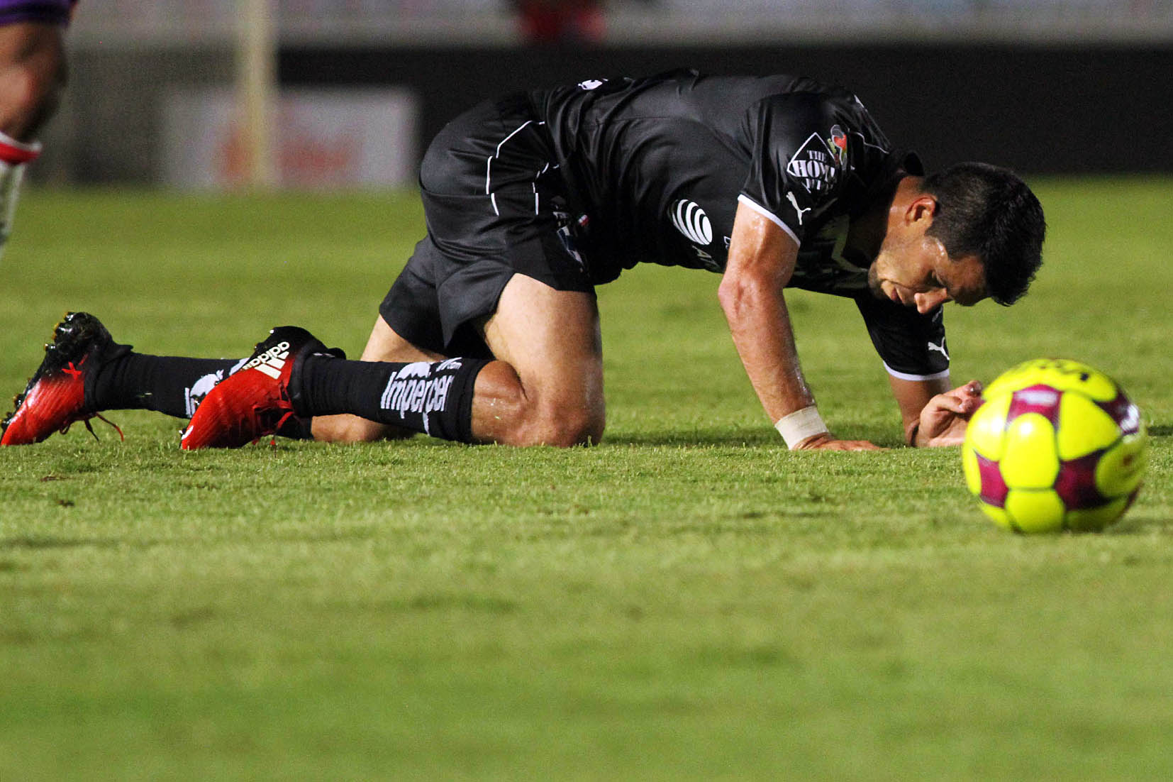 Mira las mejores imágenes del triunfo escualo sobre Monterrey.