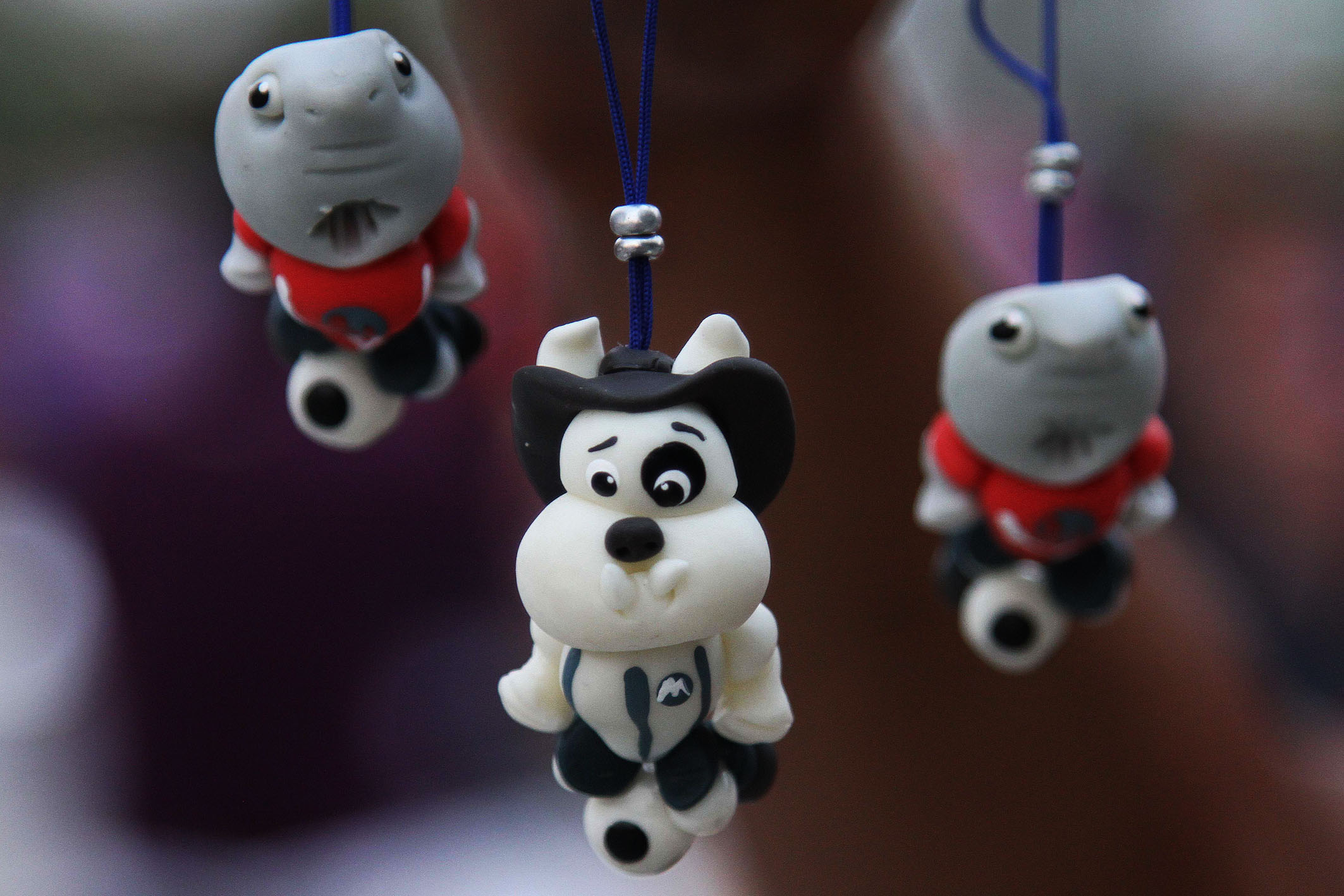 Mira las mejores imágenes del triunfo escualo sobre Monterrey.