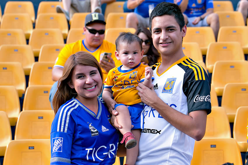 Tigres