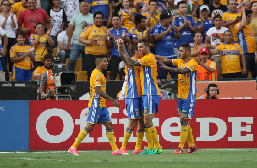 tigres
