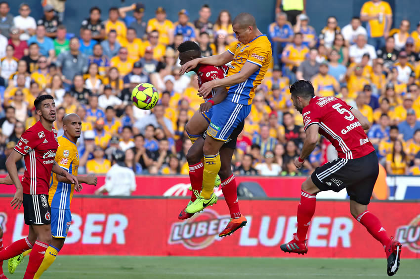 Tigres