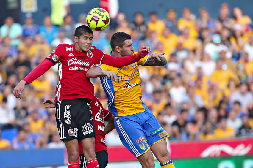 Tigres