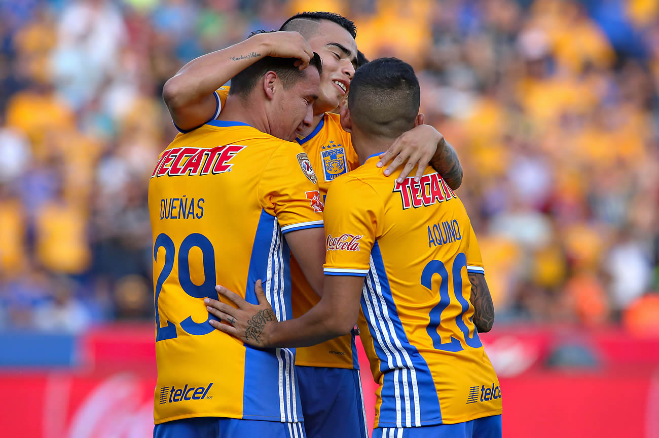 tigres