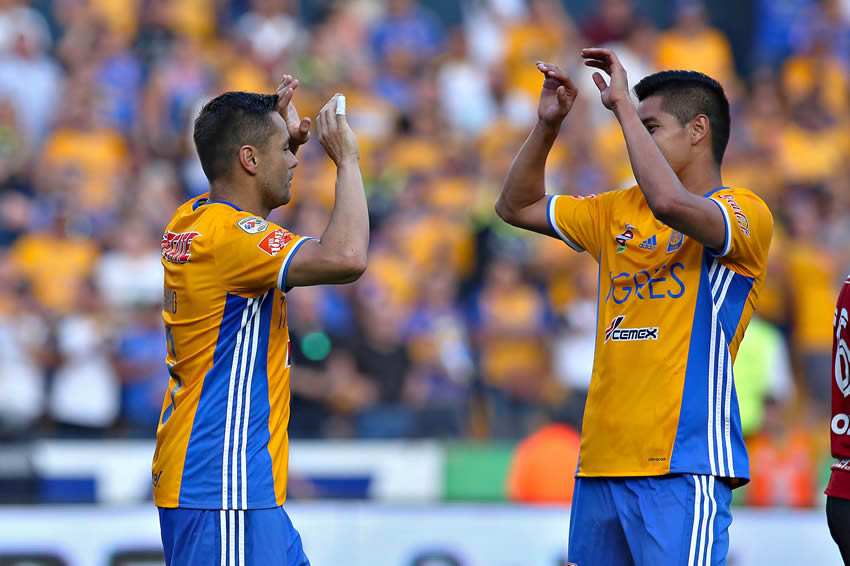 tigres