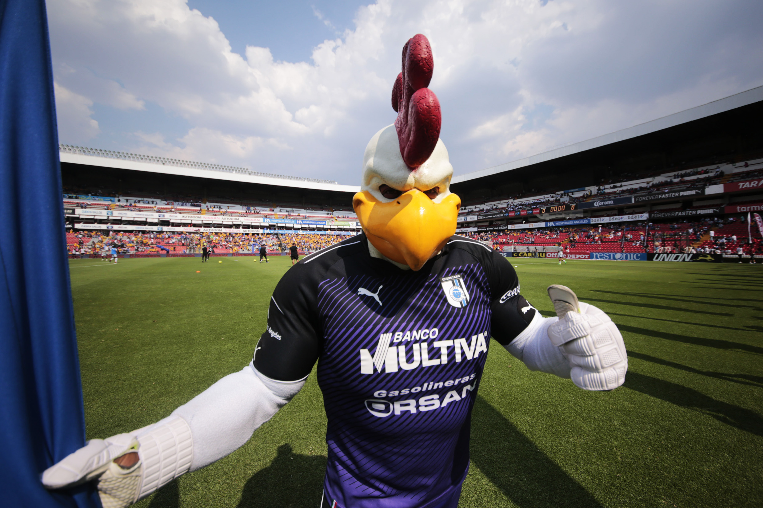 Rugido de Tigres por Liguilla en nido del Gallo