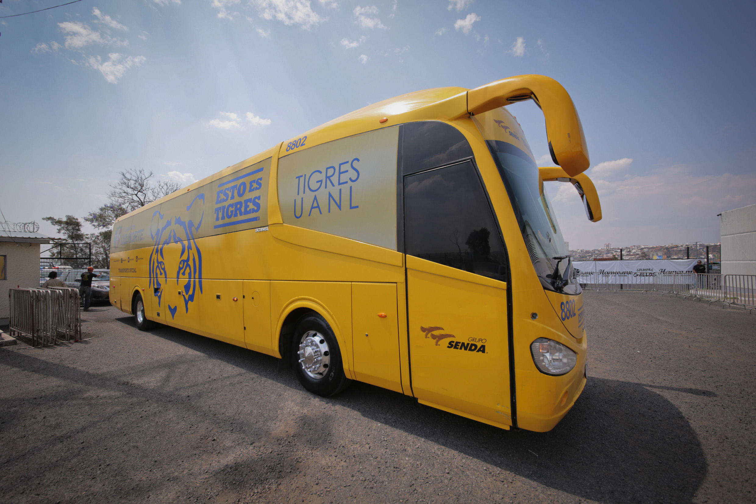 Rugido de Tigres por Liguilla en nido del Gallo