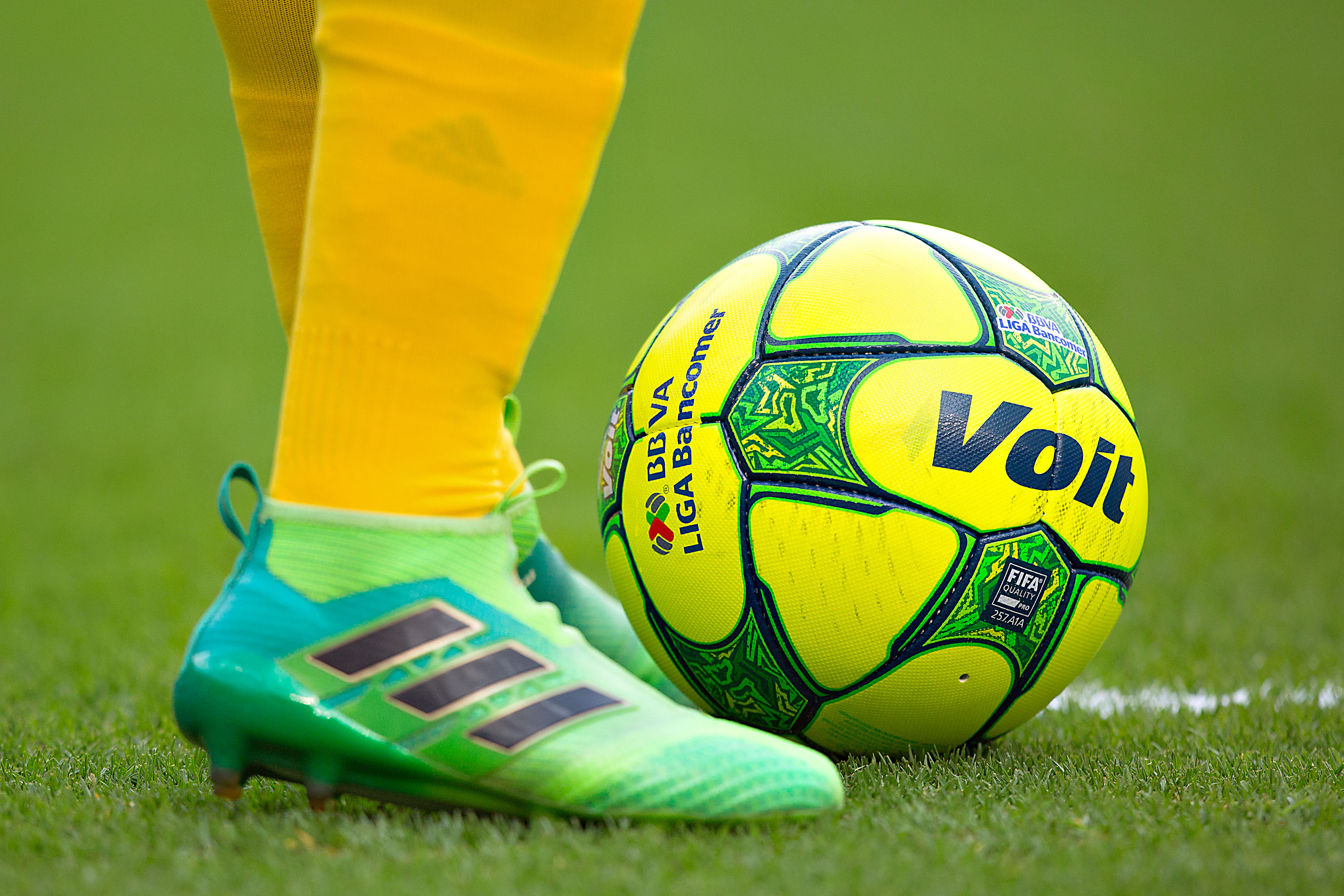 Rugido de Tigres por Liguilla en nido del Gallo