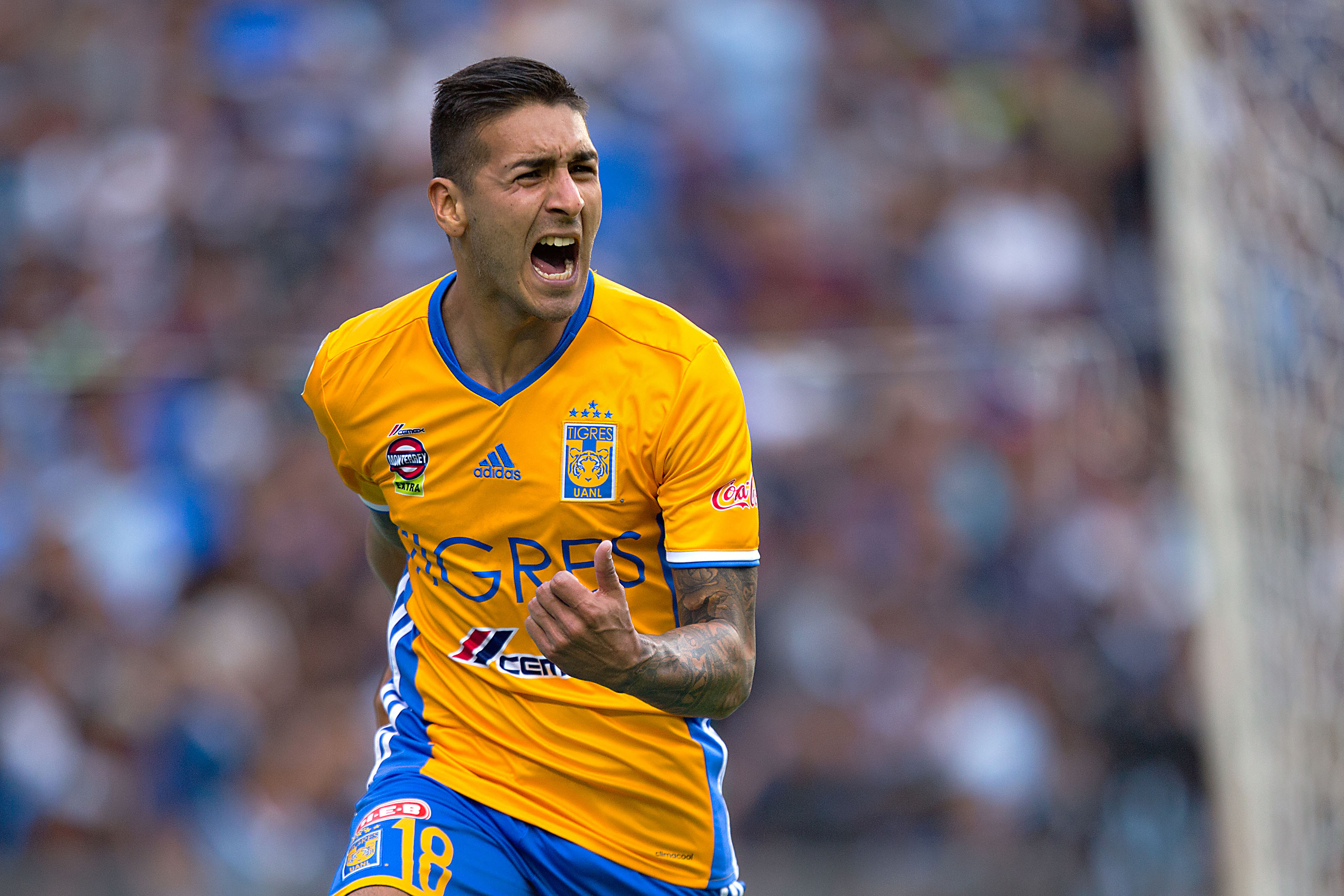 Rugido de Tigres por Liguilla en nido del Gallo