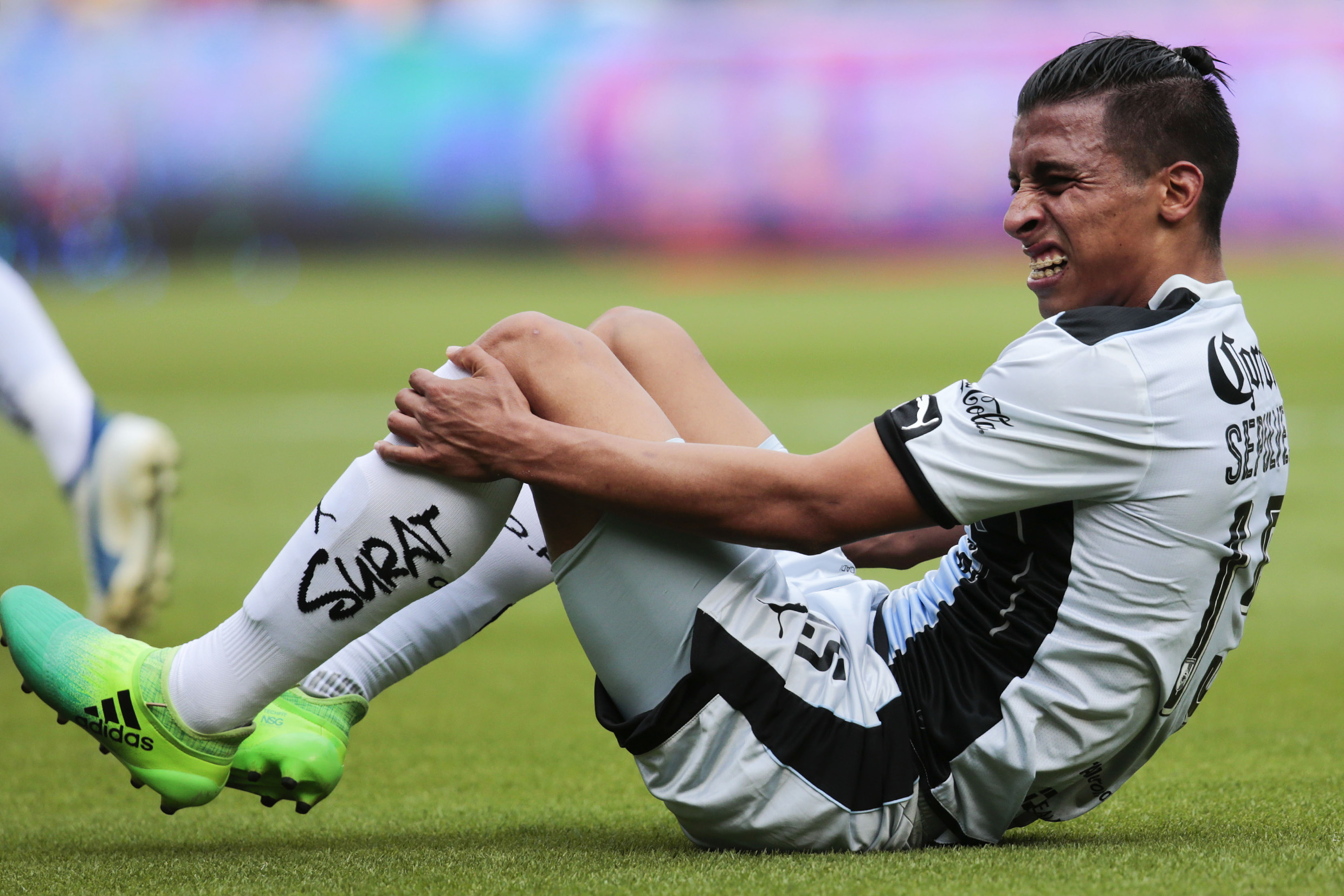 Rugido de Tigres por Liguilla en nido del Gallo