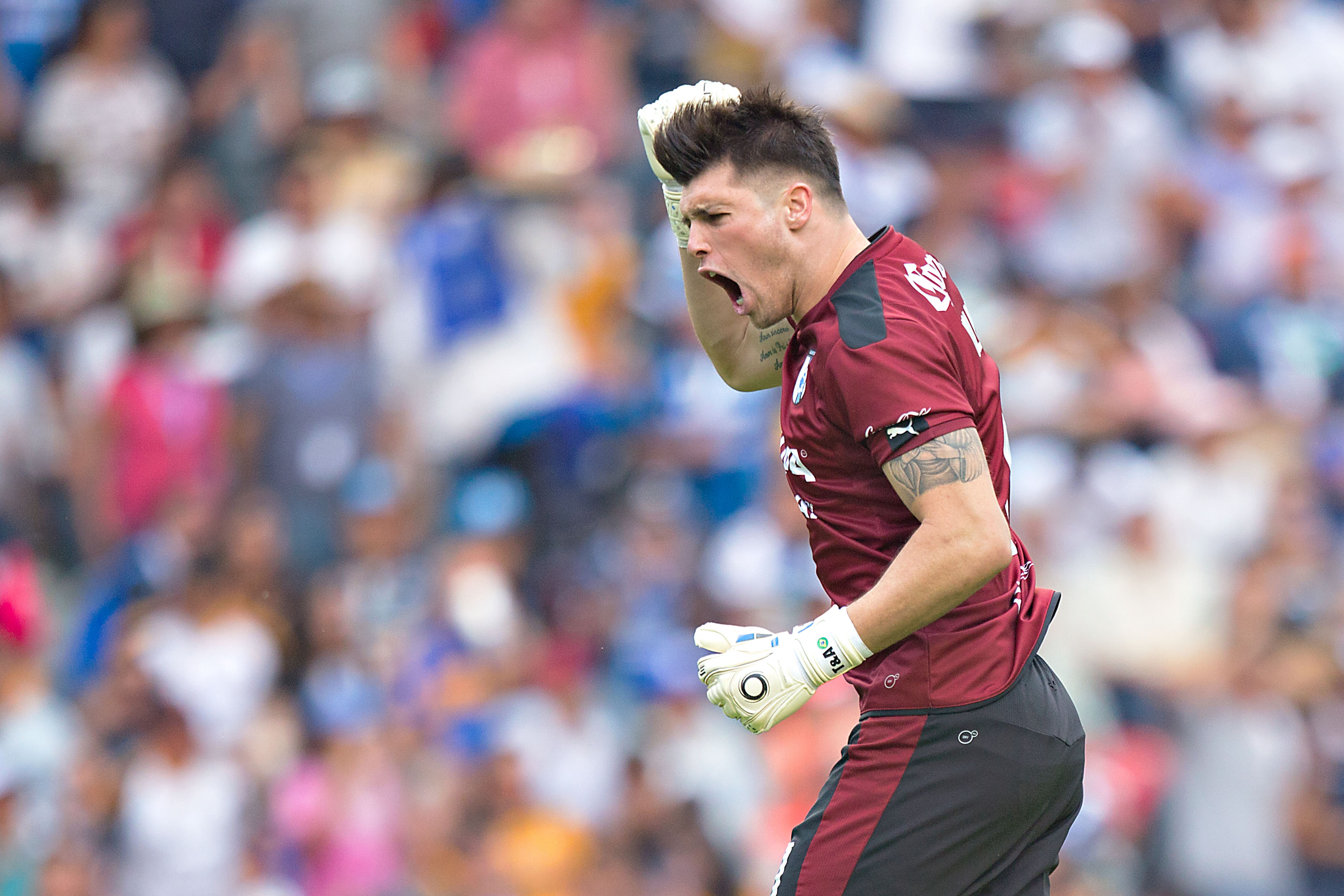 Rugido de Tigres por Liguilla en nido del Gallo