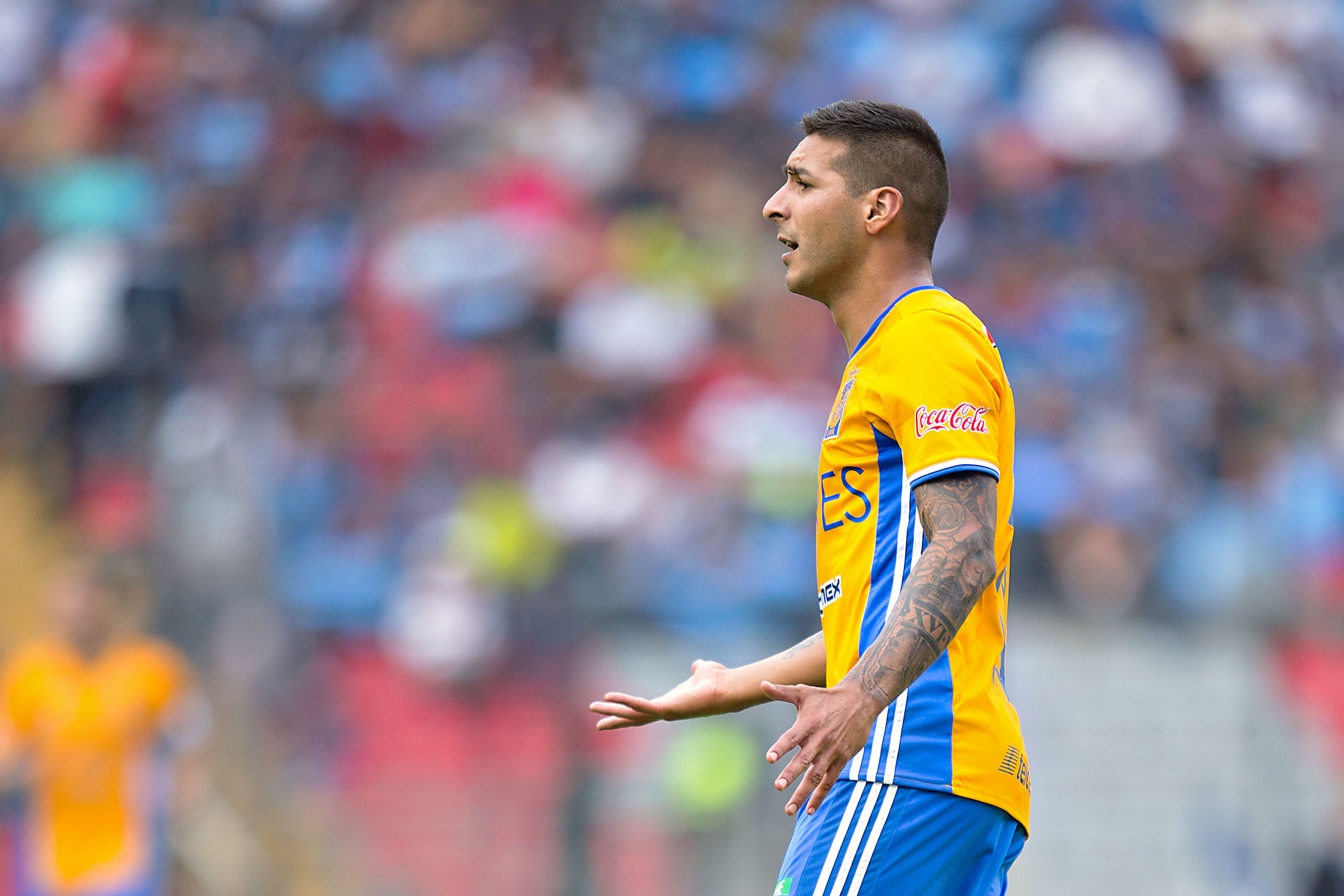 Rugido de Tigres por Liguilla en nido del Gallo