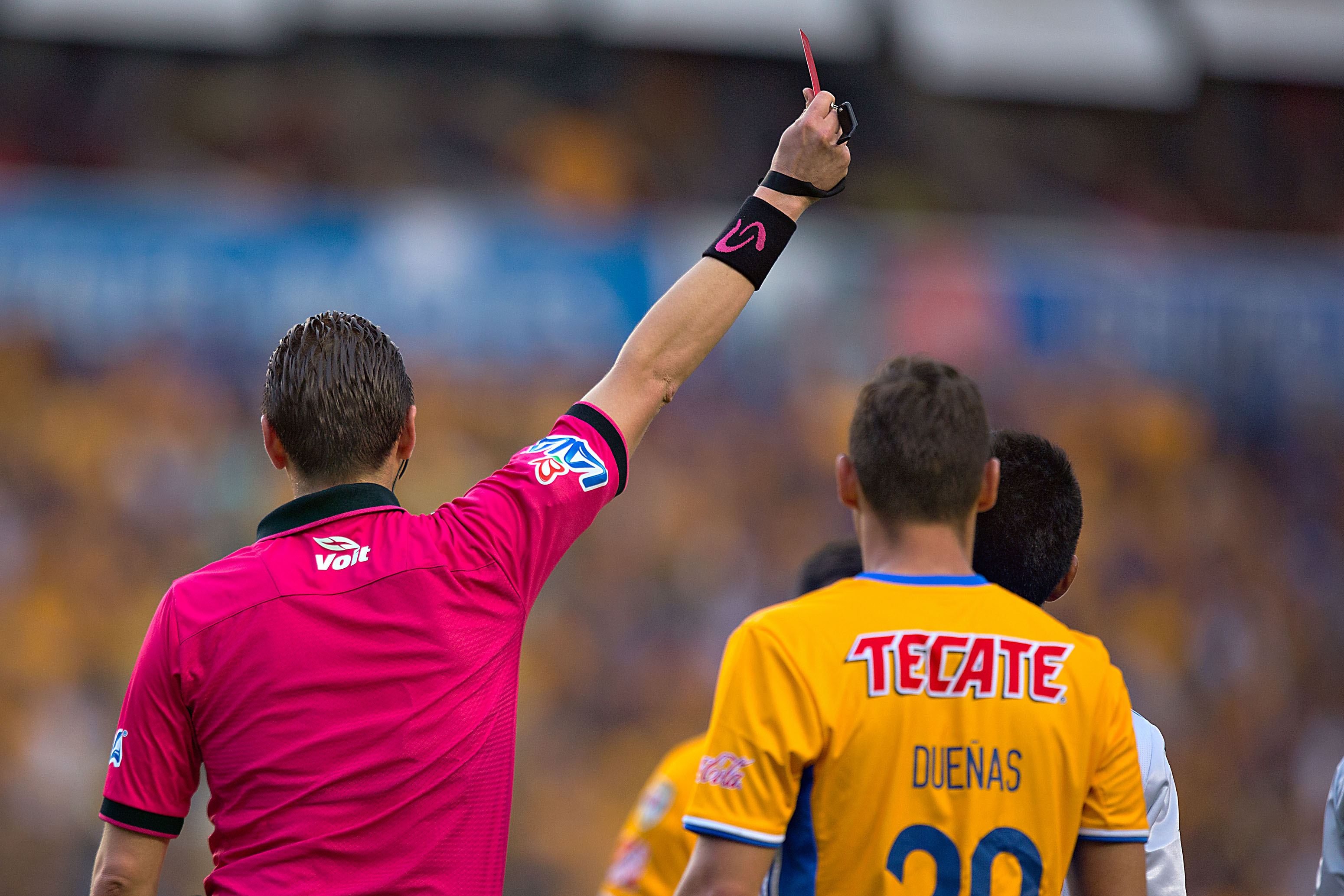 Rugido de Tigres por Liguilla en nido del Gallo