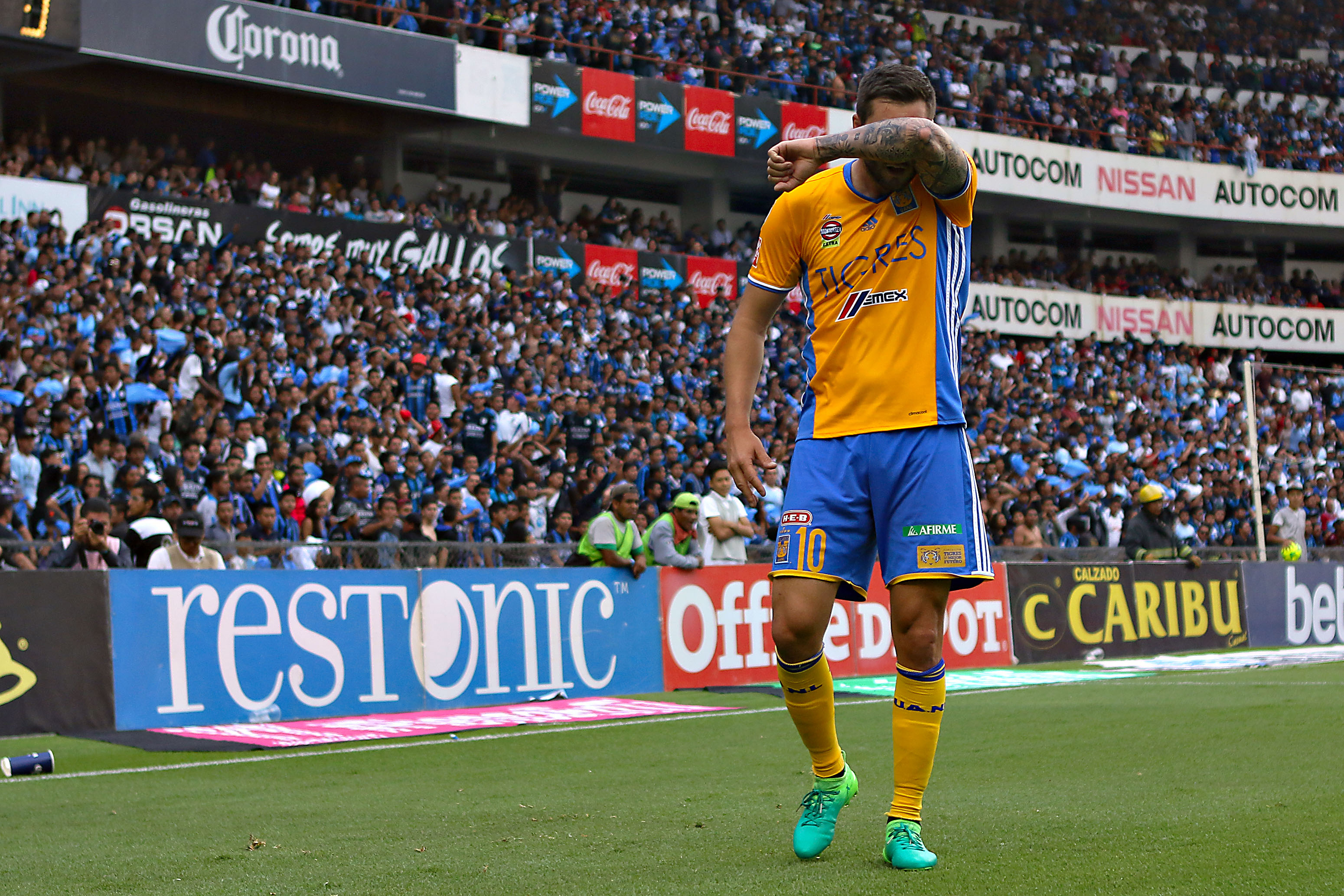 Rugido de Tigres por Liguilla en nido del Gallo