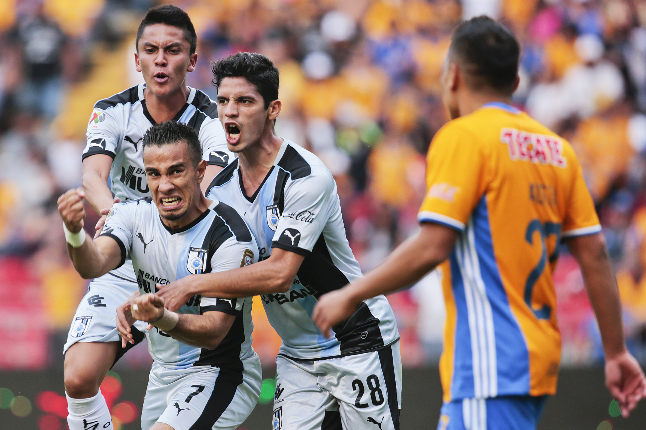 Rugido de Tigres por Liguilla en nido del Gallo