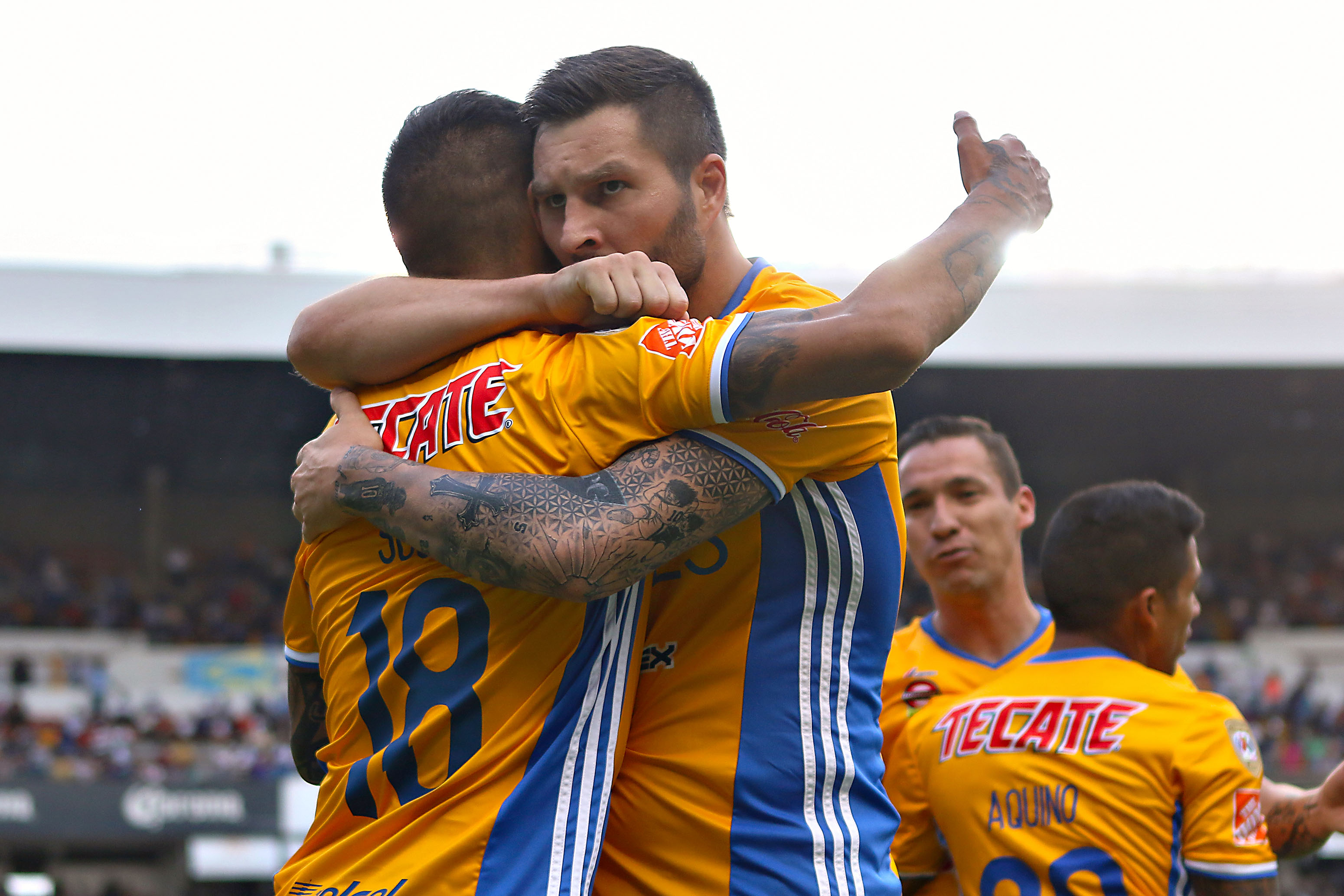 Rugido de Tigres por Liguilla en nido del Gallo