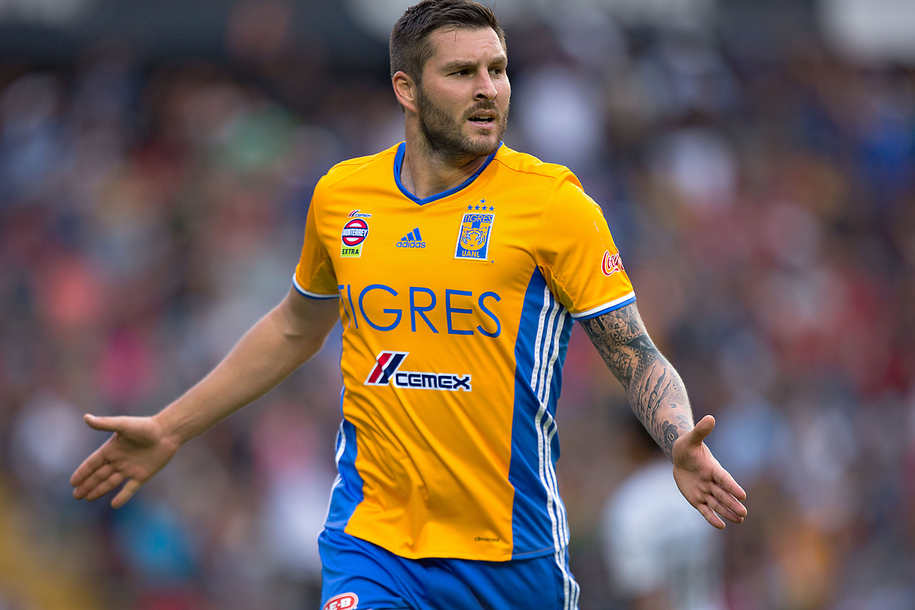 Rugido de Tigres por Liguilla en nido del Gallo