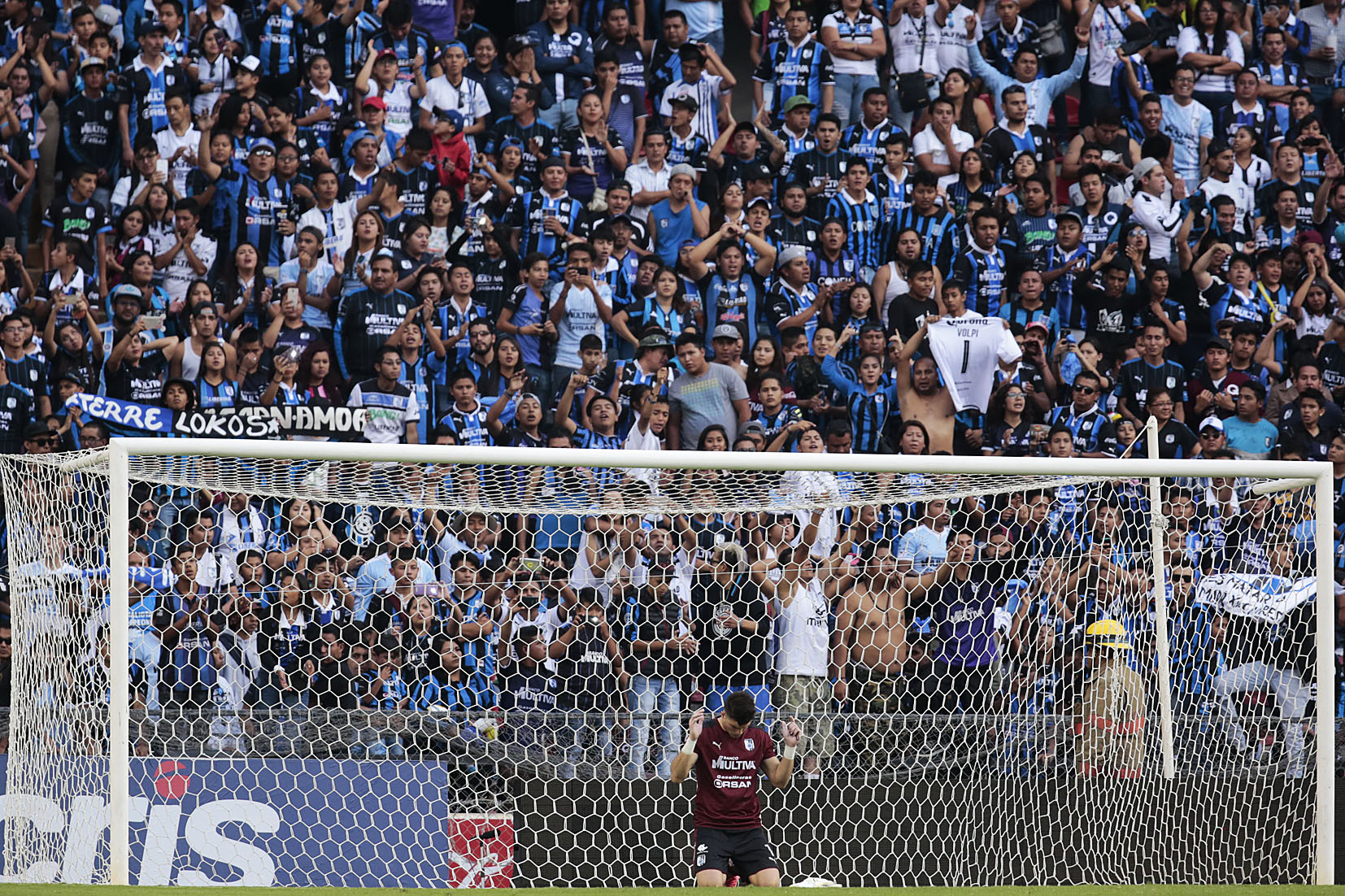 Rugido de Tigres por Liguilla en nido del Gallo