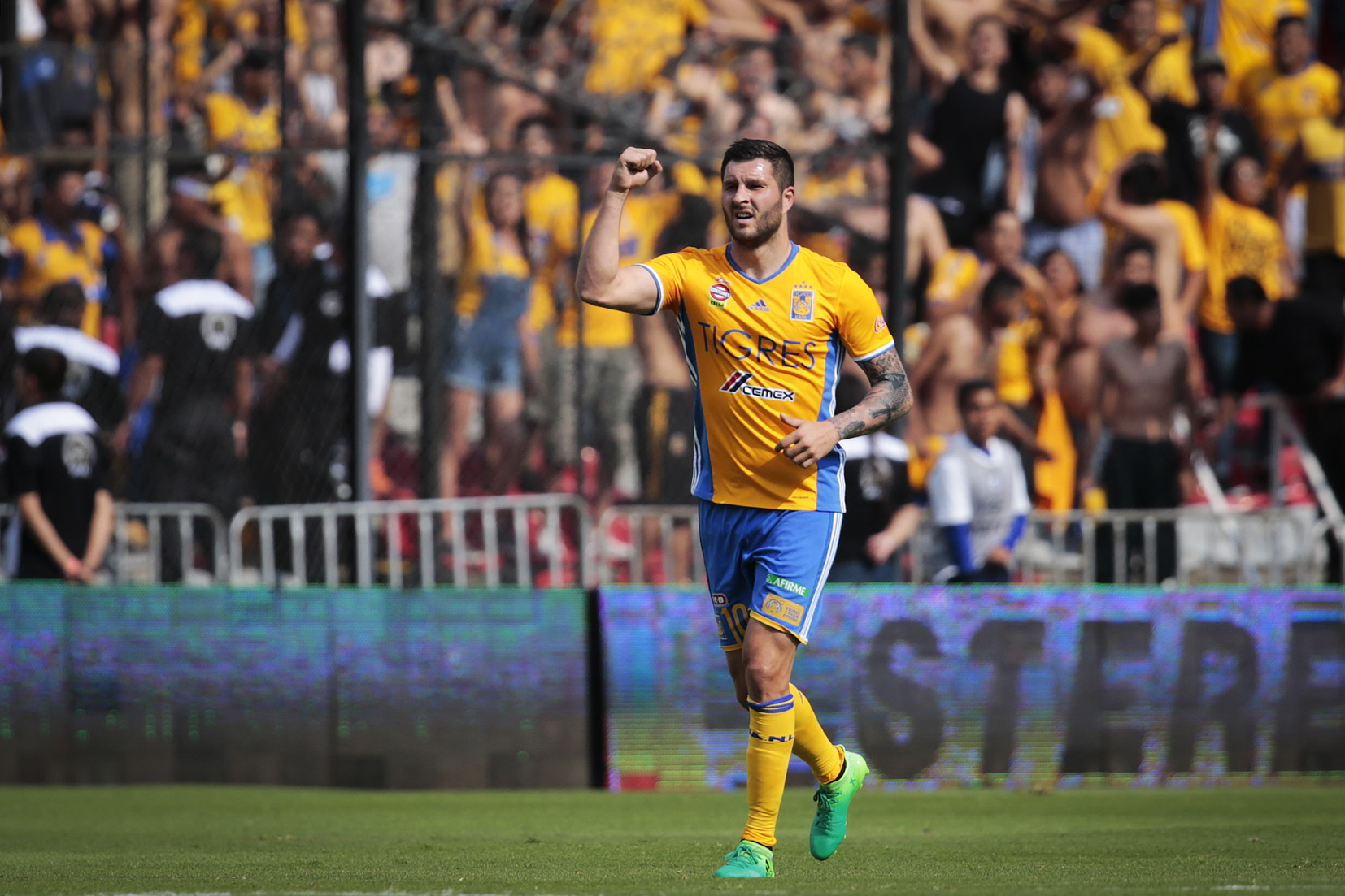 Rugido de Tigres por Liguilla en nido del Gallo