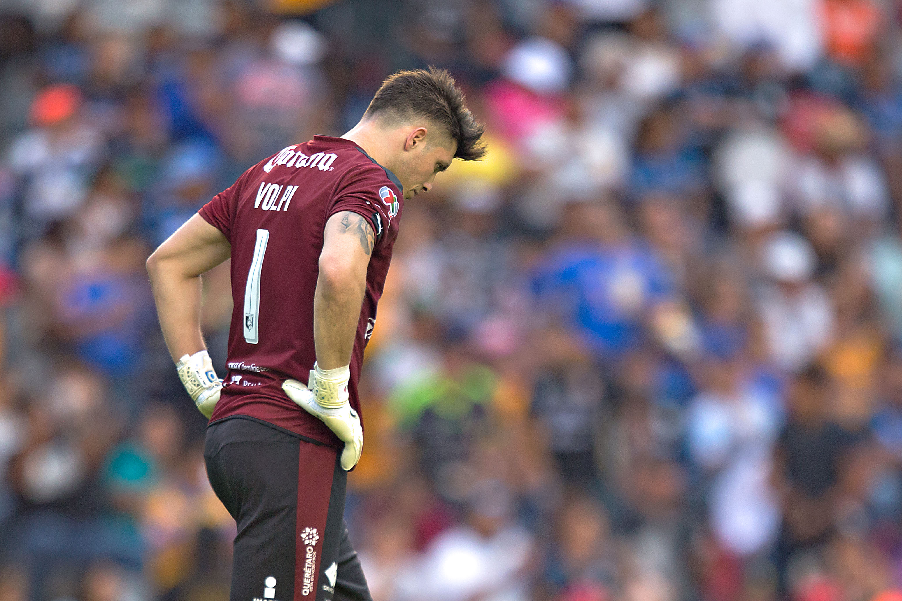 Rugido de Tigres por Liguilla en nido del Gallo