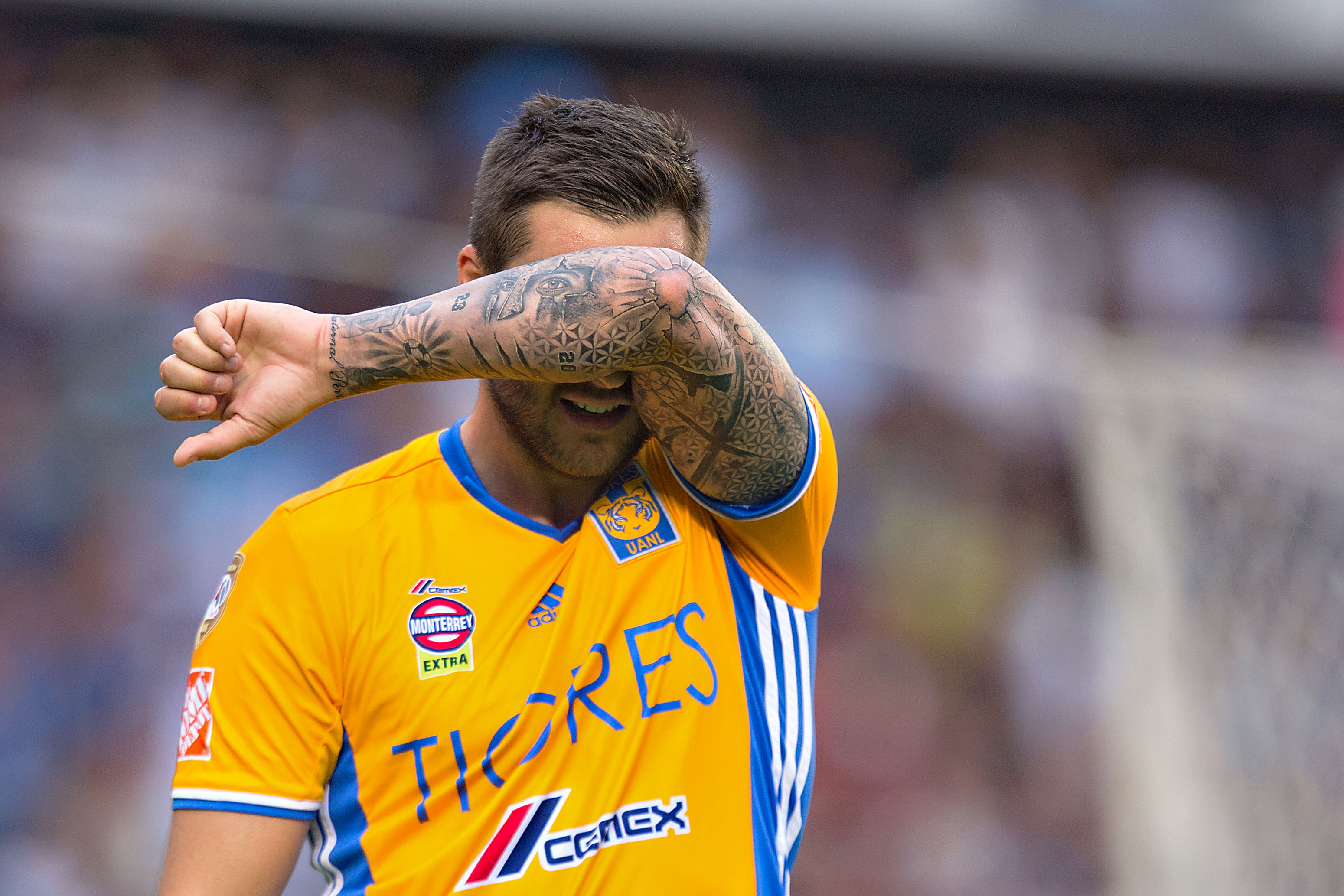 Rugido de Tigres por Liguilla en nido del Gallo