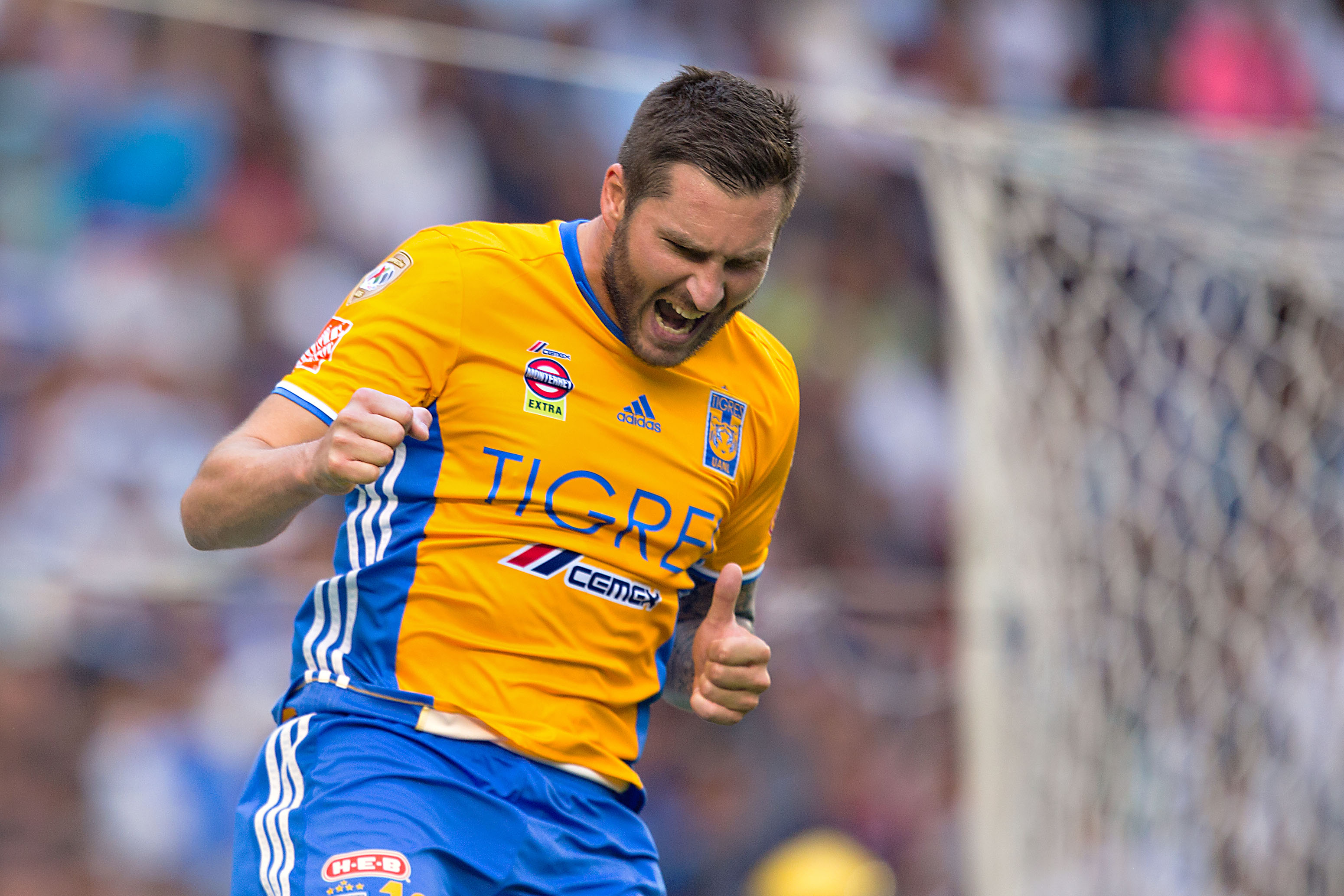 Rugido de Tigres por Liguilla en nido del Gallo