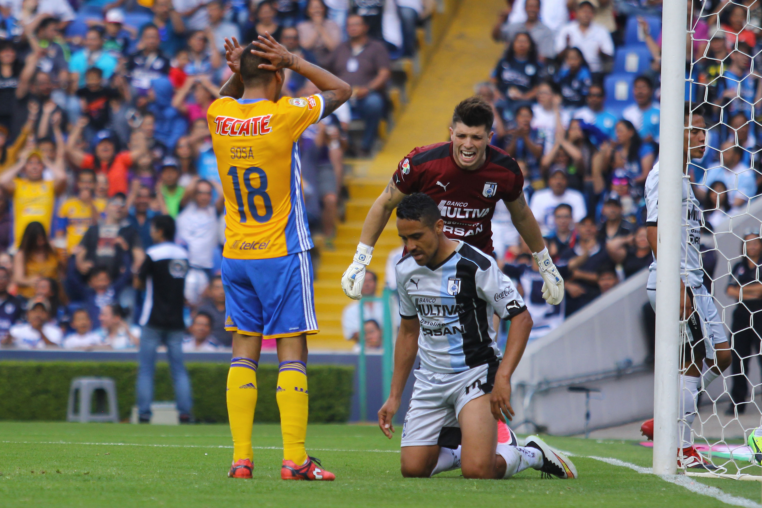 Rugido de Tigres por Liguilla en nido del Gallo