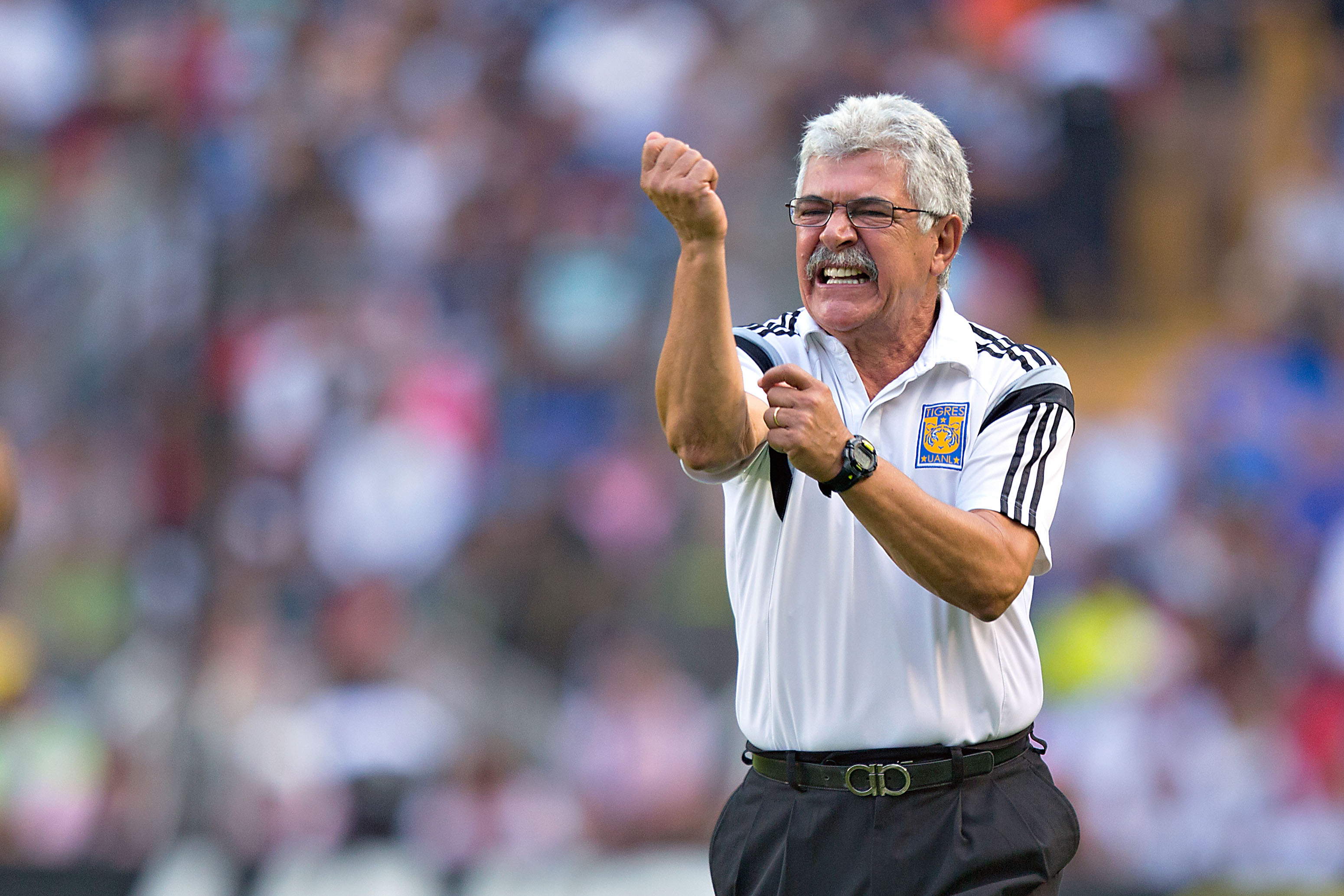 Rugido de Tigres por Liguilla en nido del Gallo