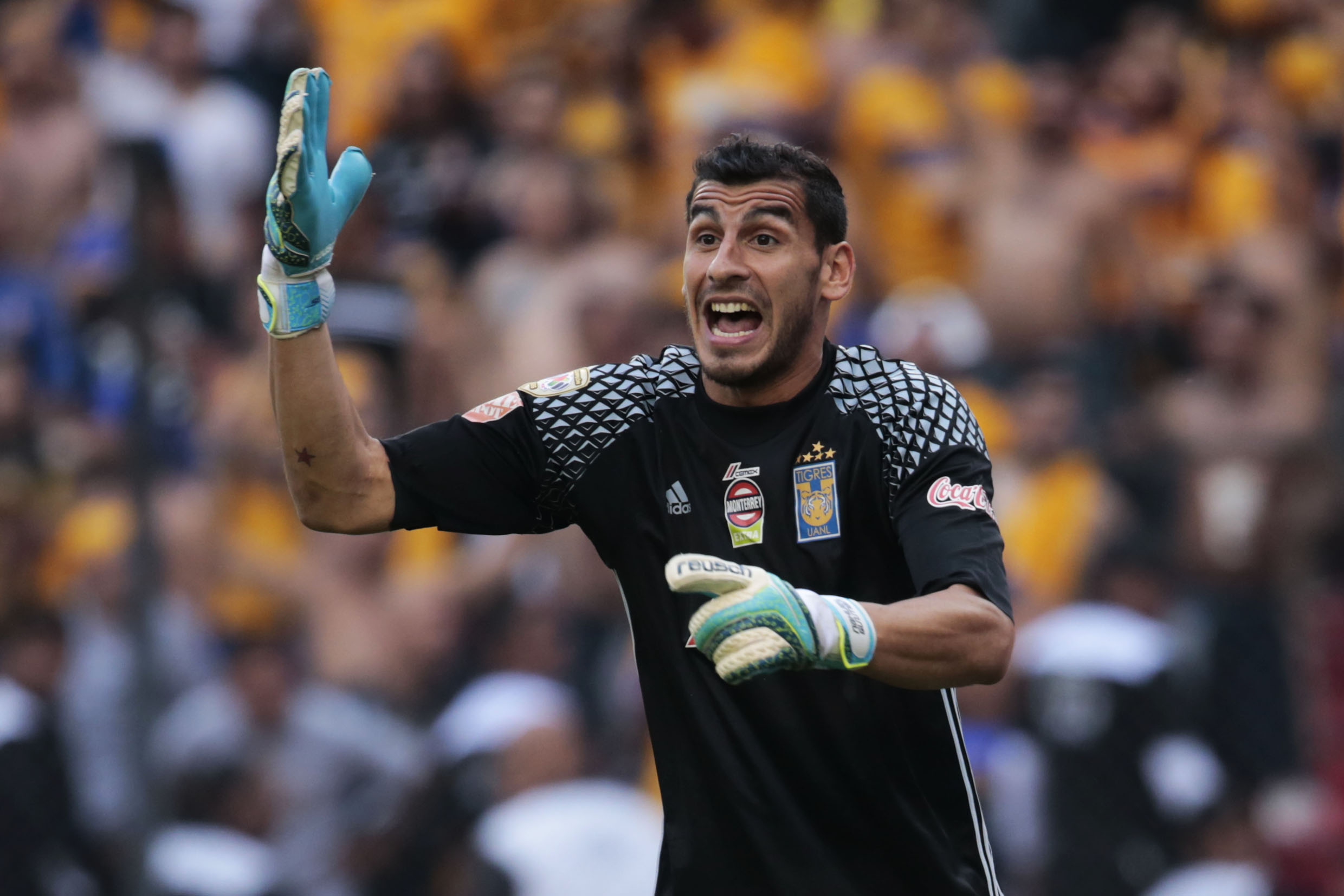 Rugido de Tigres por Liguilla en nido del Gallo