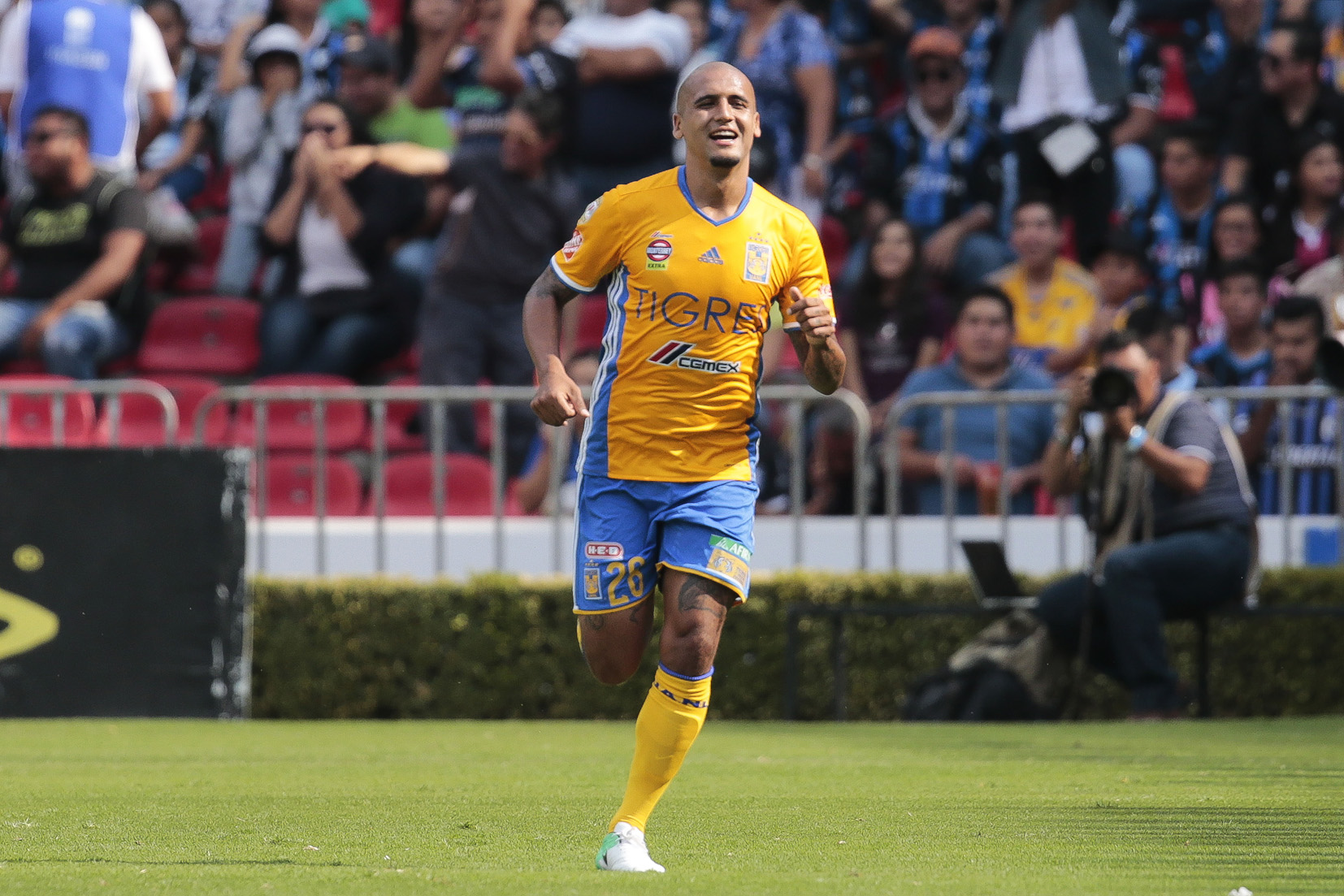 Rugido de Tigres por Liguilla en nido del Gallo