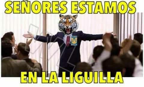Tigres a la Liguilla... y ahora, ¿quién tiene miedo? - memes