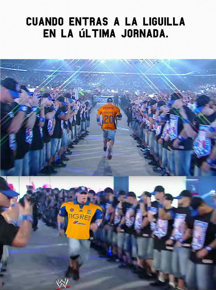 Tigres a la Liguilla... y ahora, ¿quién tiene miedo? - memes