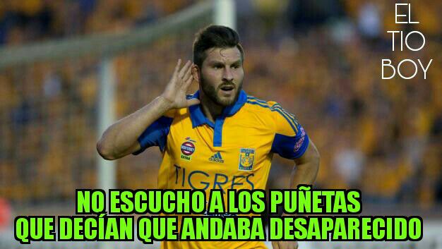 Tigres a la Liguilla... y ahora, ¿quién tiene miedo? - memes