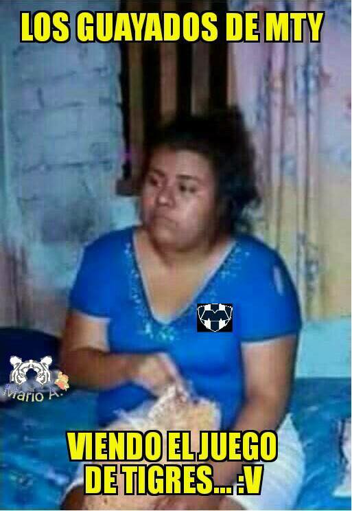 Tigres a la Liguilla... y ahora, ¿quién tiene miedo? - memes
