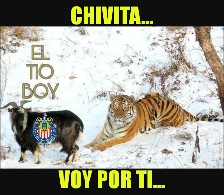 Tigres está en la final y Rayados llora de coraje en los memes