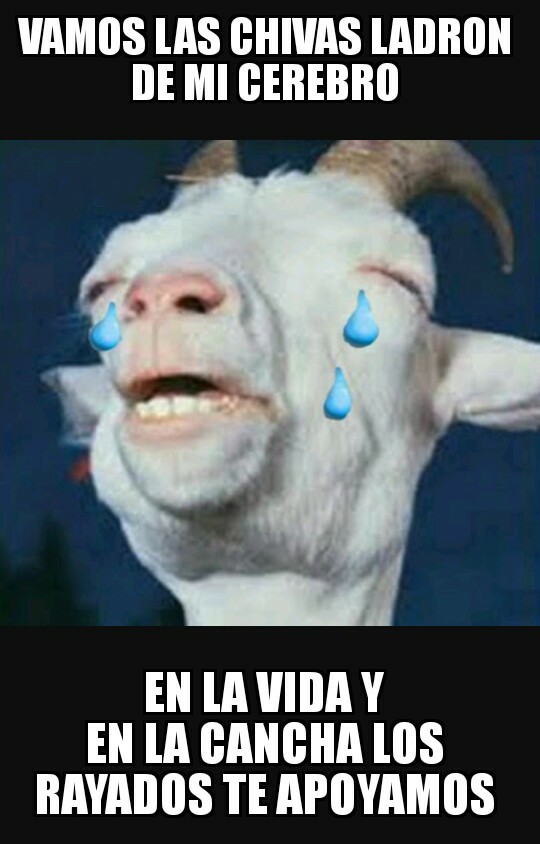 Tigres está en la final y Rayados llora de coraje en los memes