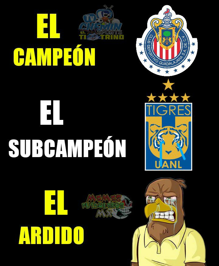 Mejores memes de la gran final del C2017 de la Liga MX entre Chivas y Tigres.