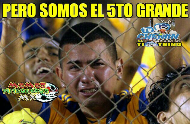 Mejores memes de la gran final del C2017 de la Liga MX entre Chivas y Tigres.