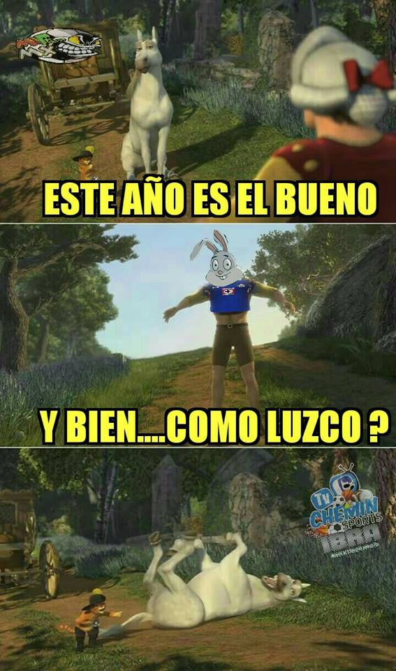 Los mejores memes del Draft 2017 de la Liga MX.